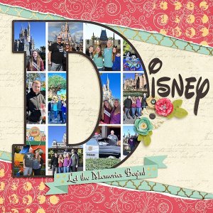 Disney World Cover