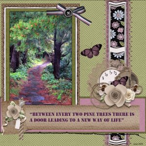 23e - June 2025 -Quote Challenge -Pine trees.jpg