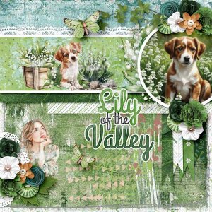Lily-of-the-Valley-aimee-ha.jpg