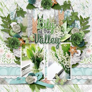 Lily of the Valley