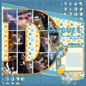 Discover Starfish