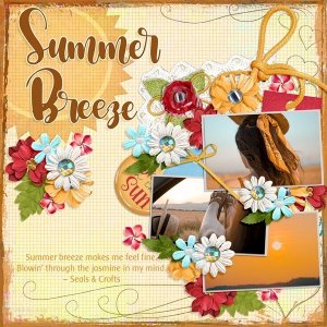 Summer Breeze
