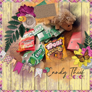 Candy Thief