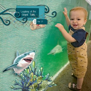 Shark Tank.jpg