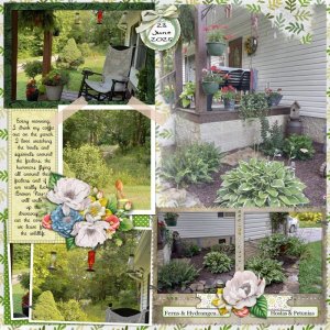 June Photography Challenge