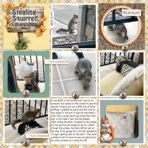 StealingSquirrel25.jpg