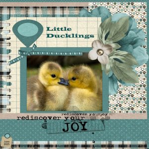 33e -June 2025 - Use it All Challenge-Little Ducklings.jpg