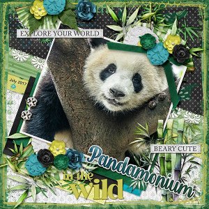 Pandamonium