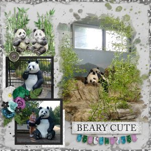 Pandamonium-Aimee with Splashy Blends-Miss FIsh.jpg
