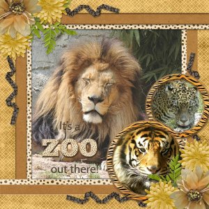 It's a ZOO out there!