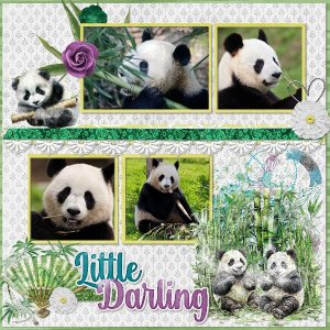 Pandas.jpg
