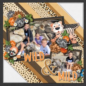 Wild & Mild