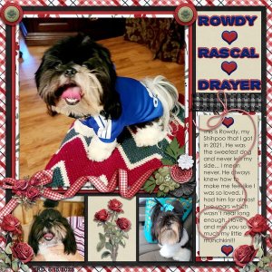 Rowdy 1