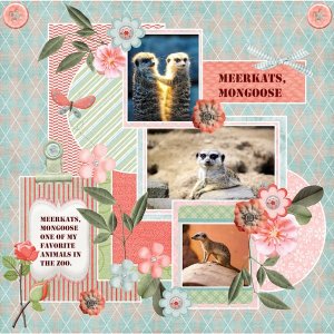 30e - June 2025 Template  -2-  Challenge-Meerkats-Mongoose.jpg