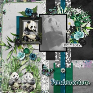 Pandas at London Zoo