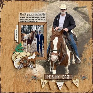 New-Horse.jpg