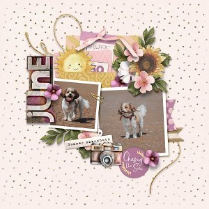 a beautiful story: june
