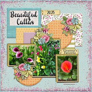 Tinci_2025JUNTC_2_spring flowers 2025_web.jpg