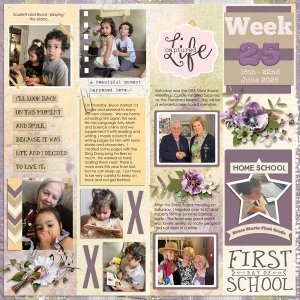Week-25_Mon-16-Jun_to_Sun-22-Jun-2025.jpg
