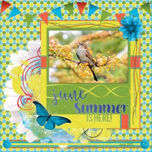 June 2025-June Summer is here....jpg