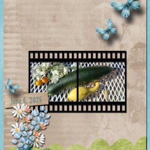 GS-25-June-color.jpg