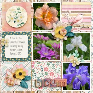 Day-Dreams-and-Flowers.jpg