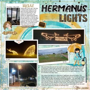 Hermanus Lights