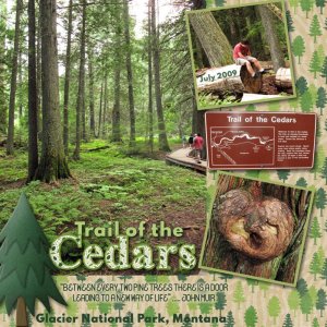 2009 07 27 Trail of the Cedars 450kb.jpg