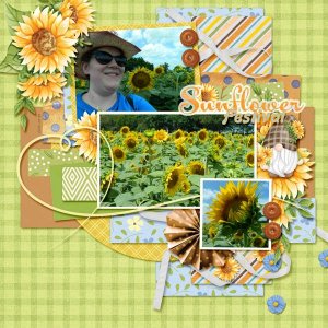 Sunflower Festival