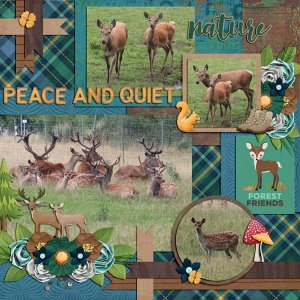 peace and quiet