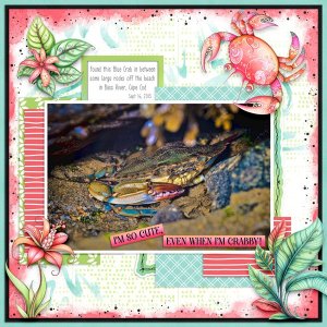 Bass-River-Blue-Crab.jpg