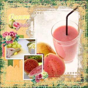 guava nectar.jpg