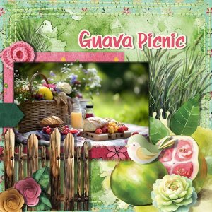 DLPatt_GuavaPicnic_web.jpg