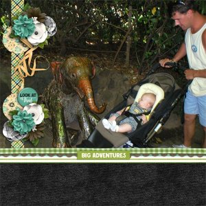 Zoo Babies