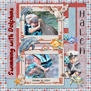 2024 10 15 Swim with the Dolphins