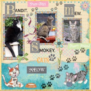 2e Challenge-July 2025-All about Me July -Our cats we had..jpg