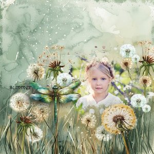 A Thousand Wishes