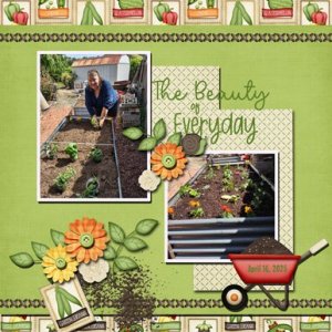 Planting Day 2025