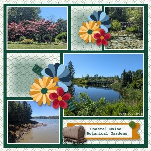 Coastal Maine Botanical Gardens - June 2025.jpg
