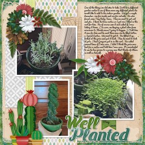 Well Planted