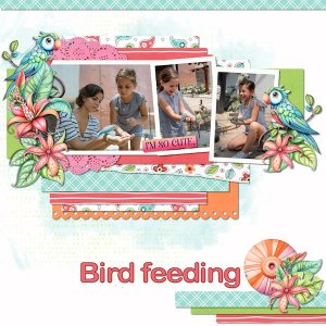Bird feeding