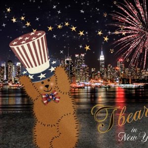 Tbear-in-New-York.jpg