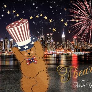 Tbear-in-New-York.jpg