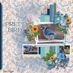 Pretty Bird