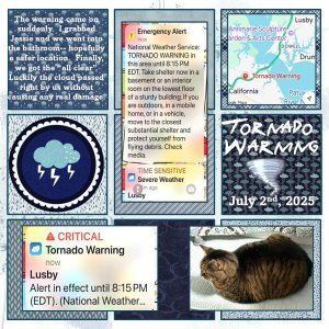 July 2025 Template #3 Challenge.jpg