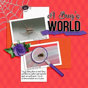 A Bugs World