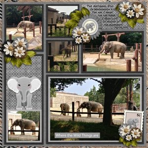 Wild Thing Jungle-ScrapbookCrazy with Building Blocks Summer Fun Templates 2 #3-Miss Fish.jpg