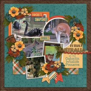 Outback Australia at Catoctin Wildlife Preserve