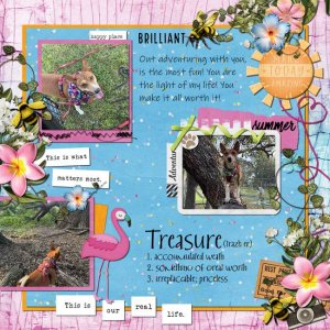GS-ScrapliftCh-July25.jpg