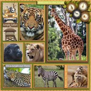 Wild Thing-Jungle